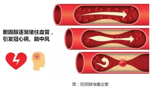 图片18.jpg