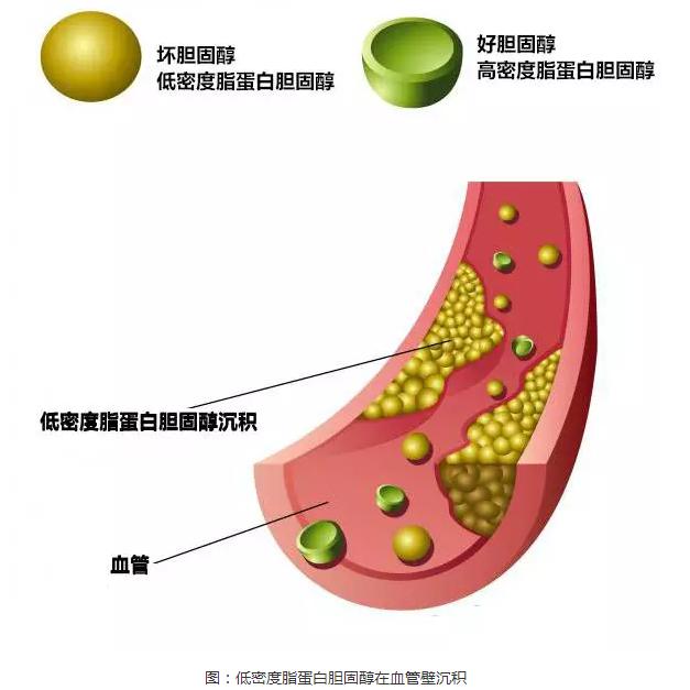 图片20.jpg