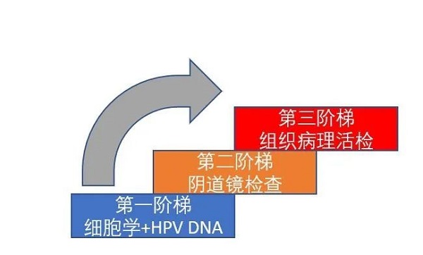 微信图片_20221031224432.jpg